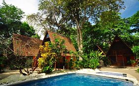 Howler Monkey Hotel Costa Rica